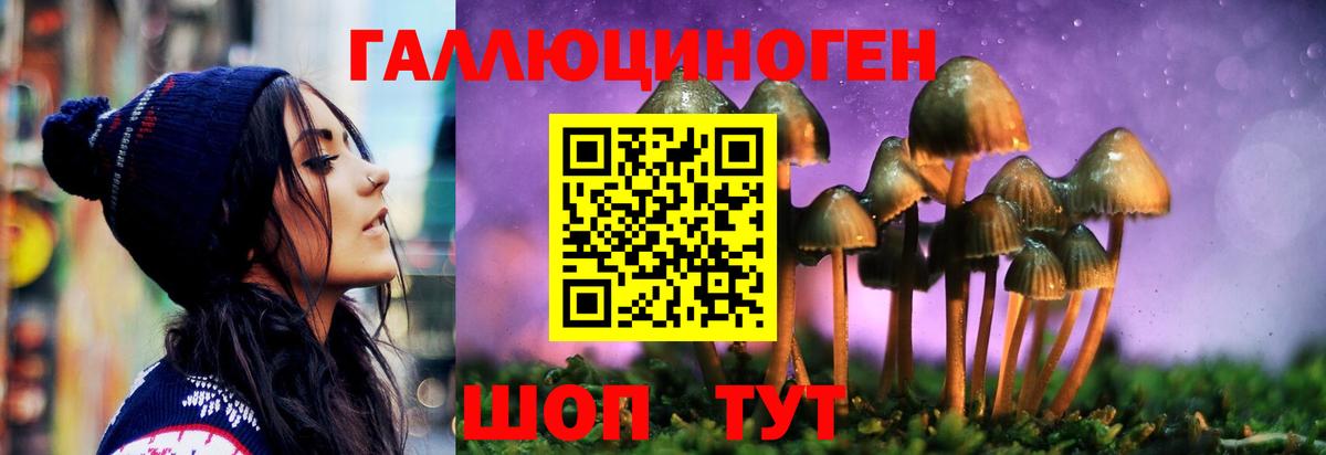 Галлюциногенные грибы Magic Shrooms Чистополь