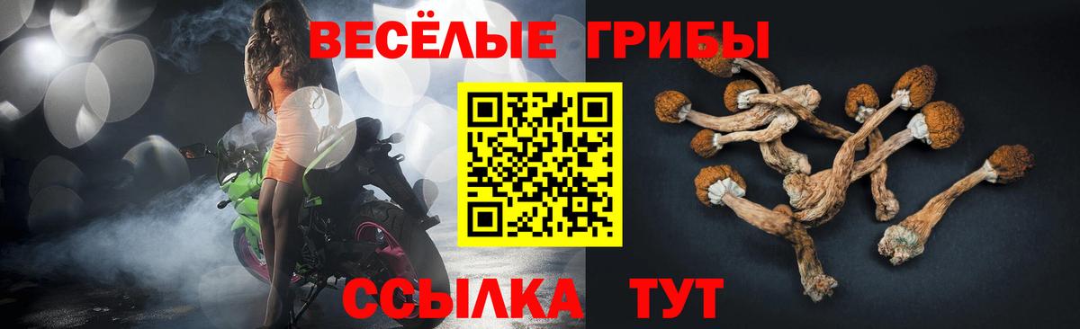 Галлюциногенные грибы Cubensis  Вход с VPN  Чистополь  Псилоцибиновые грибы Magic Shrooms 